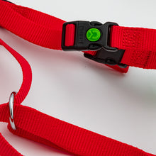 Laden Sie das Bild in den Galerie-Viewer, Gut Aiderbichl Hundegeschirr