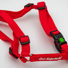 Laden Sie das Bild in den Galerie-Viewer, Gut Aiderbichl Hundegeschirr