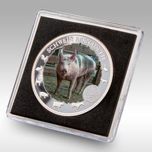 Laden Sie das Bild in den Galerie-Viewer, Sammler Münzen