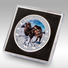 Laden Sie das Bild in den Galerie-Viewer, Sammler Münzen