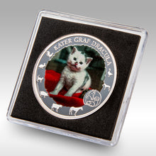 Laden Sie das Bild in den Galerie-Viewer, Sammler Münzen