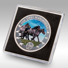 Laden Sie das Bild in den Galerie-Viewer, Sammler Münzen