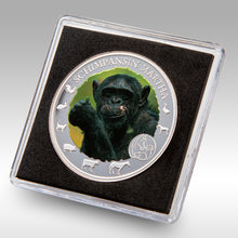 Laden Sie das Bild in den Galerie-Viewer, Sammler Münzen