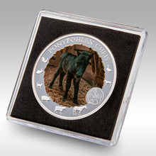 Laden Sie das Bild in den Galerie-Viewer, Sammler Münzen