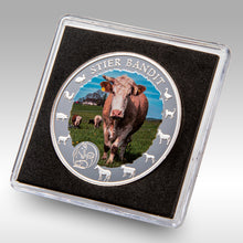 Laden Sie das Bild in den Galerie-Viewer, Sammler Münzen