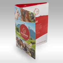 Laden Sie das Bild in den Galerie-Viewer, Sammler Münzen